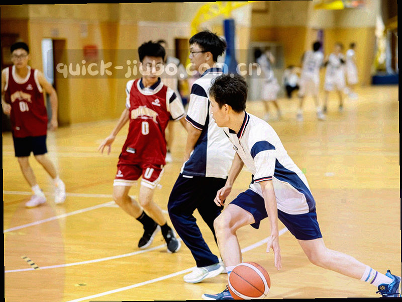 简化的抽象地理轮廓，不代表真实位置